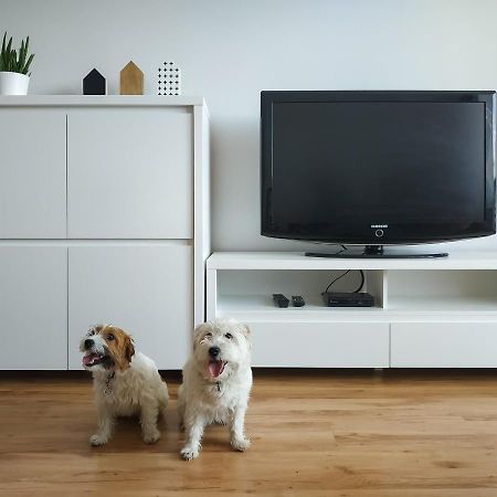 Uroczy Apartament Pod Skarpą Wadowice Zewnętrze zdjęcie